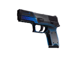 P250 | Valence (Well-Worn)